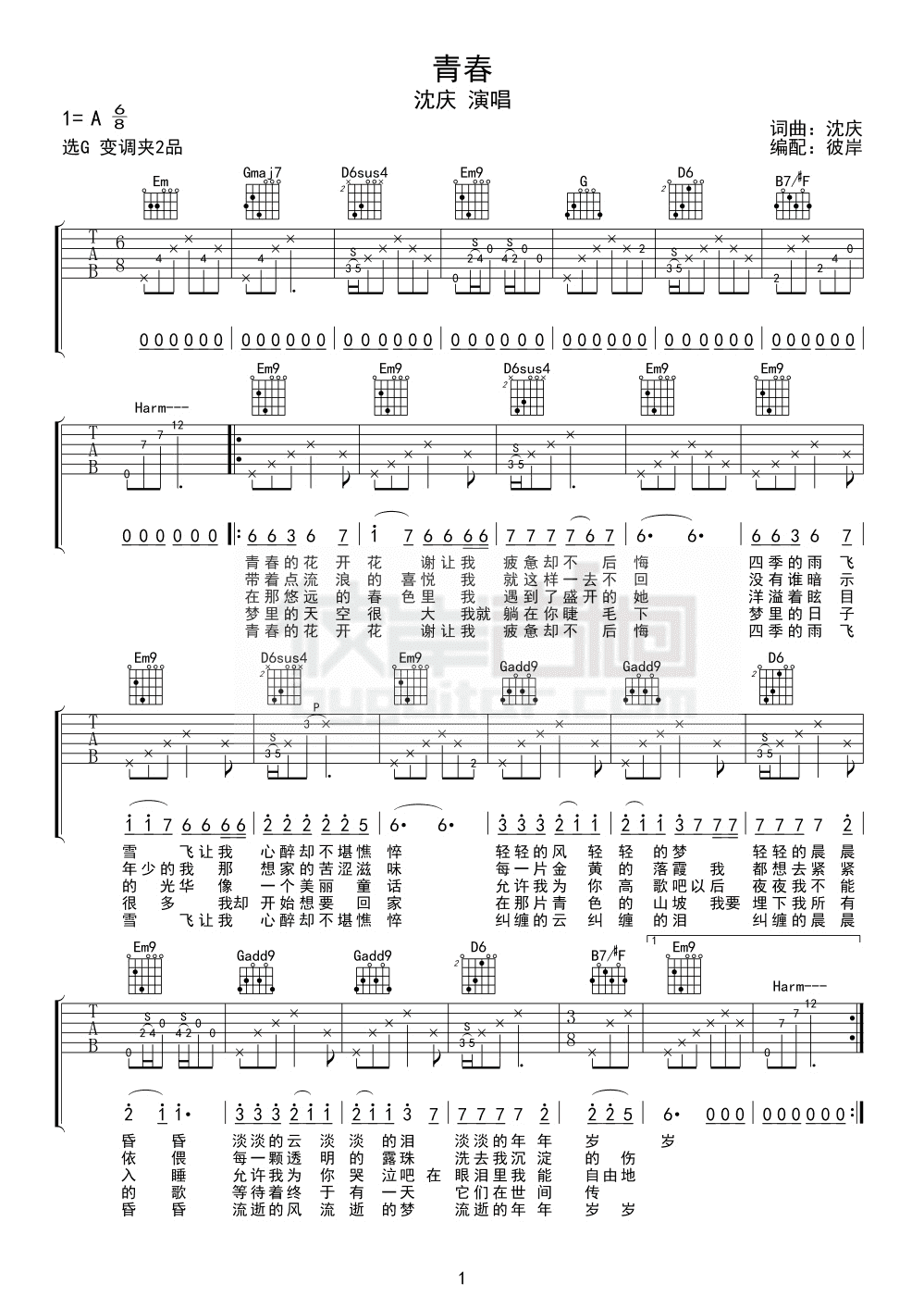 沈庆- 青春 吉他谱