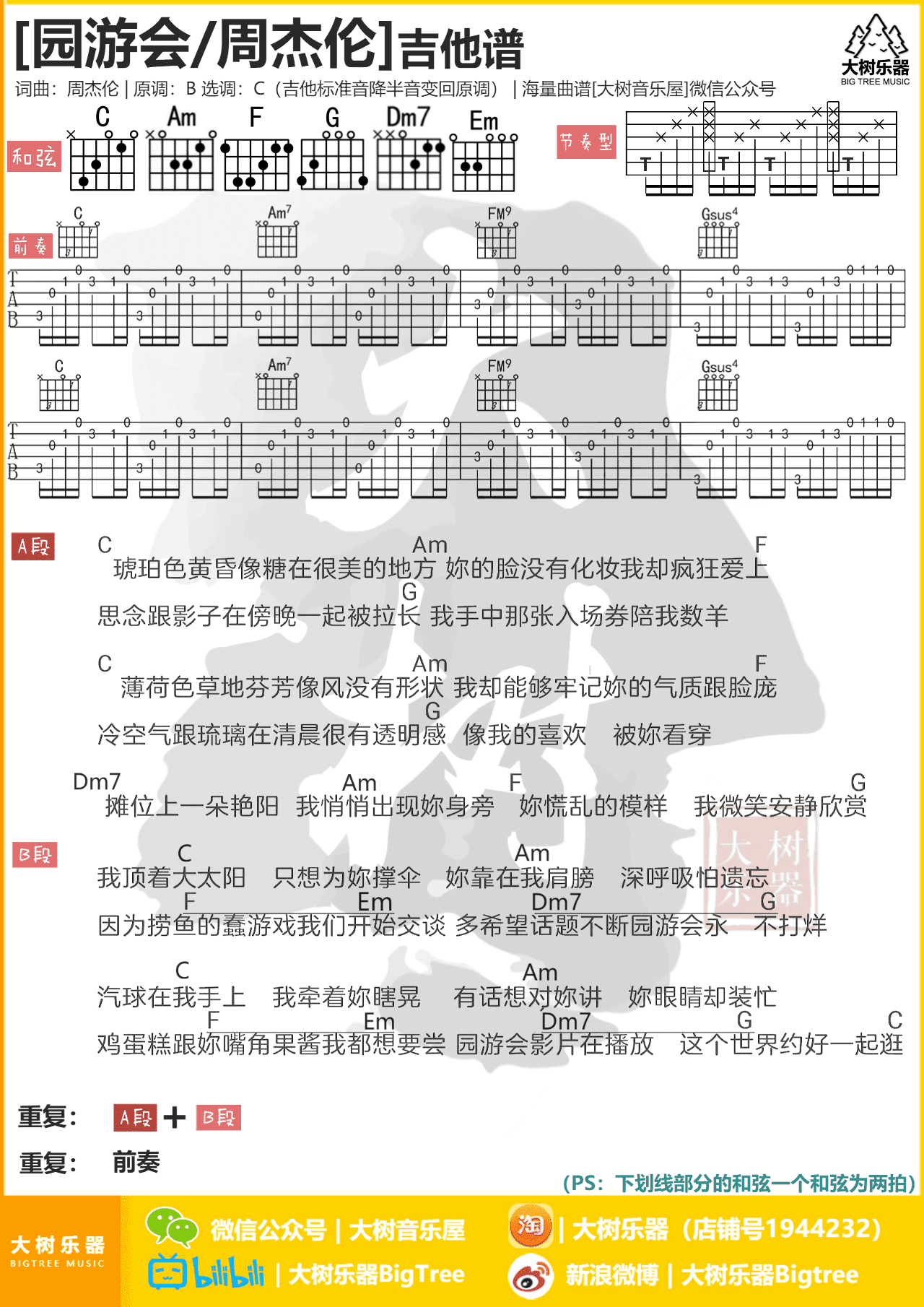 周杰伦 - 蒲公英的约定 [弹唱 大树乐器 大树音乐 教学] 吉他谱